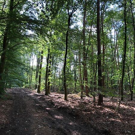Huisjes Putten Reewold Chalet In Rustige En Mooie Omgeving Esterno foto