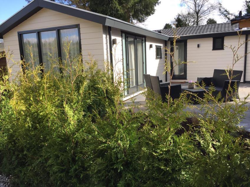 Huisjes Putten Reewold Chalet In Rustige En Mooie Omgeving Esterno foto